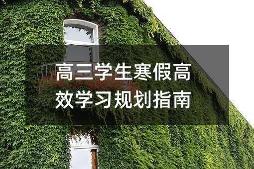 高三學生寒假高效學習規(guī)劃指南