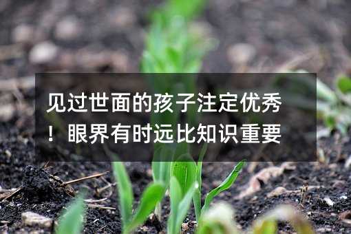 見過世面的孩子注定優(yōu)秀!眼界有時遠比知識重要