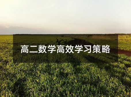 高二數(shù)學(xué)高效學(xué)習(xí)策略