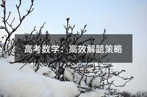 高考數(shù)學(xué):高效解題策略