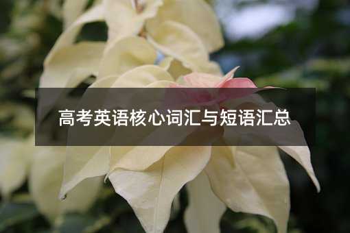 高考英語核心詞匯與短語匯總