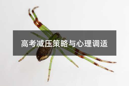 高考減壓策略與心理調(diào)適
