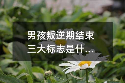 男孩叛逆期結束三大標志是什么?