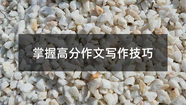 掌握高分作文寫作技巧
