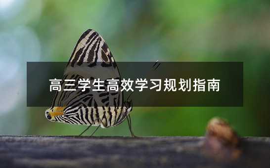 高三學生高效學習規劃指南