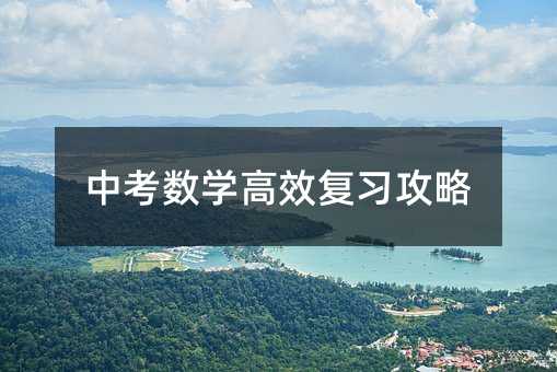 中考數(shù)學(xué)高效復(fù)習(xí)攻略
