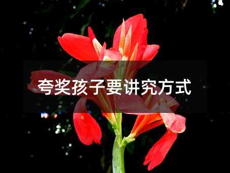 夸獎孩子要講究方式