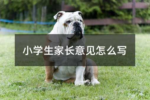 小學(xué)生家長意見怎么寫
