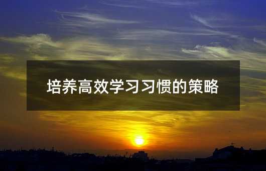培養高效學習習慣的策略