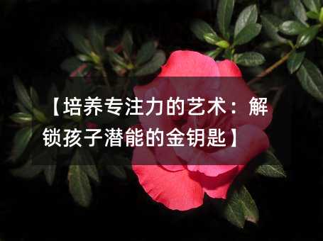 BעˇgiӝܵĽ耳ס