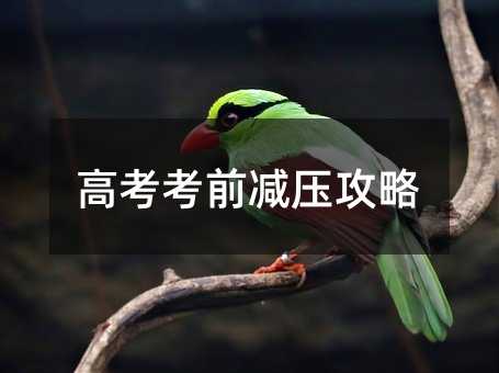 ߿ǰp