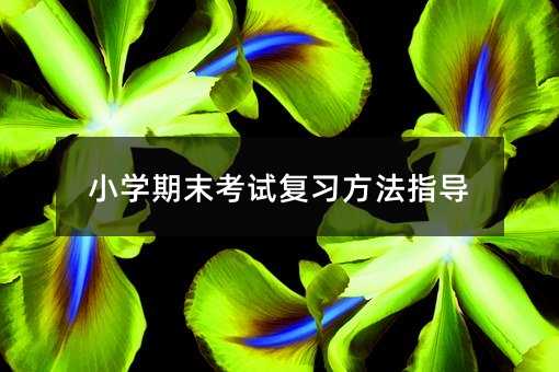 小學期末考試復習方法指導