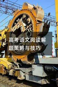 高考語(yǔ)文閱讀解題策略與技巧