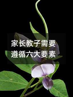 家長教子需要遵循六大要素