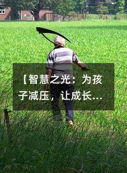 【智慧之光:為孩子減壓,讓成長之路灑滿陽光】