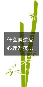 ʲô淴Ӹĸôk