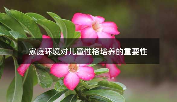 家庭環(huán)境對(duì)兒童性格培養(yǎng)的重要性
