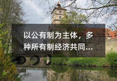 以公有制為主體,多種所有制經(jīng)濟(jì)共同發(fā)展