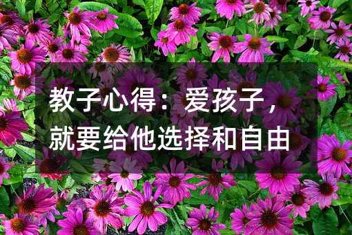 教子心得:愛孩子,就要給他選擇和自由