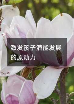 激發(fā)孩子潛能發(fā)展的原動(dòng)力