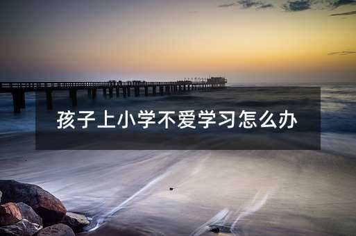 孩子上小學(xué)不愛(ài)學(xué)習(xí)怎么辦