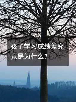 ӌW(xu)(x)ɿǞʲô