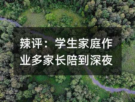 辣評:學生家庭作業多家長陪到深夜