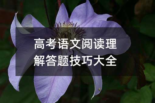 高考語(yǔ)文閱讀理解答題技巧大全