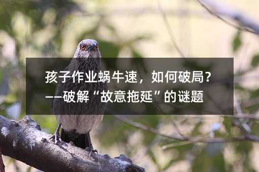 I΁ţ٣ƾ֣ƽ⡰ӡi}
