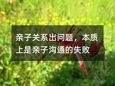 親子關系出問題,本質上是親子溝通的失敗
