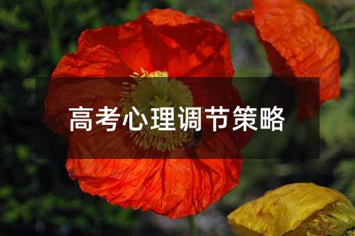 高考心理調節策略