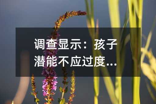 調查顯示:孩子潛能不應過度開掘