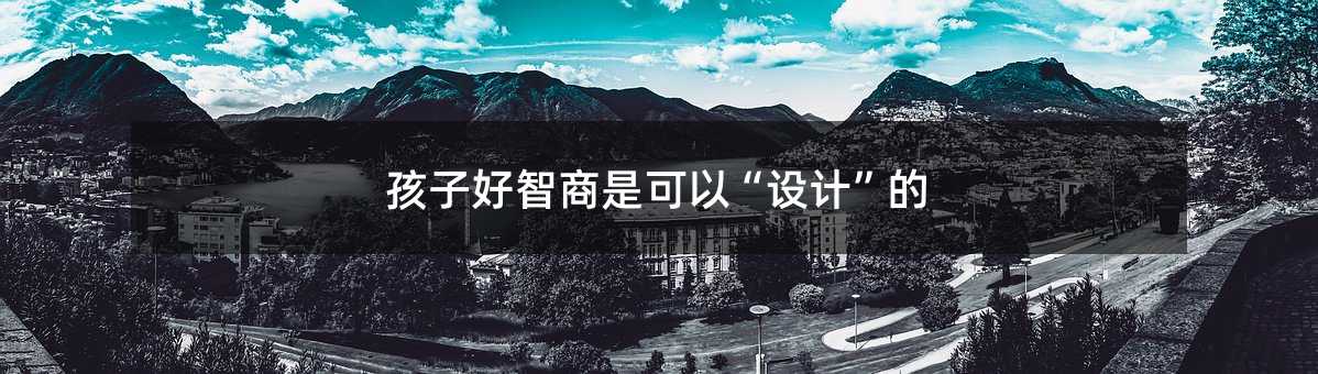 孩子好智商是可以“設(shè)計(jì)”的