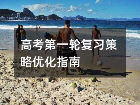 高考第一輪復(fù)習(xí)策略優(yōu)化指南