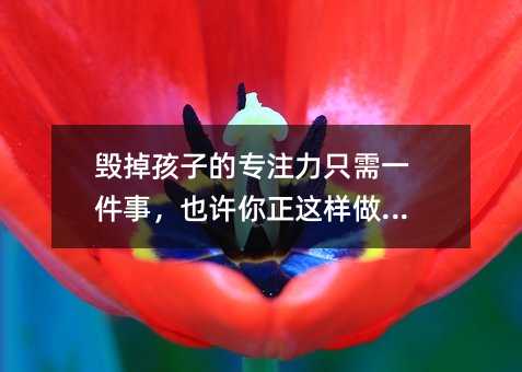 毀掉孩子的專注力只需一件事,也許你正這樣做...