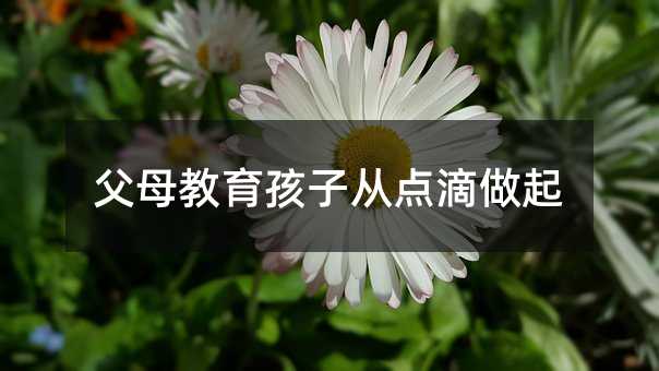 父母教育孩子從點(diǎn)滴做起