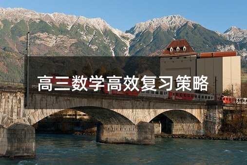 高三數學高效復習策略
