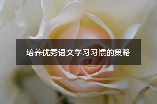 培養優秀語文學習習慣的策略