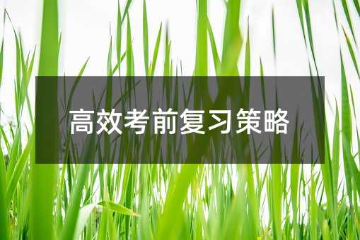 高效考前復習策略