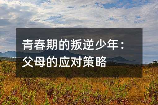 青春期的叛逆少年:父母的應(yīng)對(duì)策略