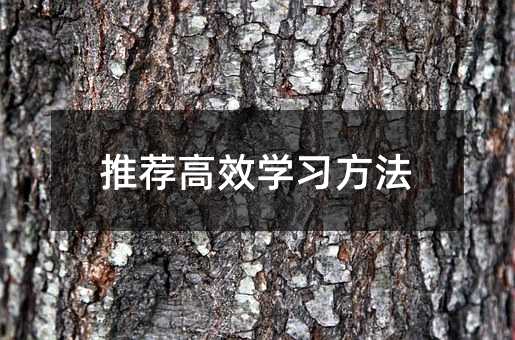 推薦高效學習方法