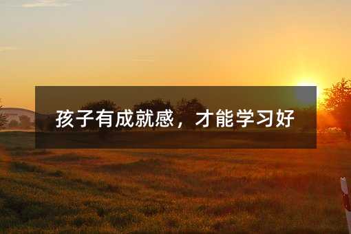 孩子有成就感,才能學(xué)習(xí)好