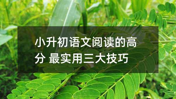 小升初語文閱讀的高分 最實用三大技巧