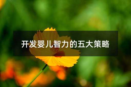開發(fā)嬰兒智力的五大策略