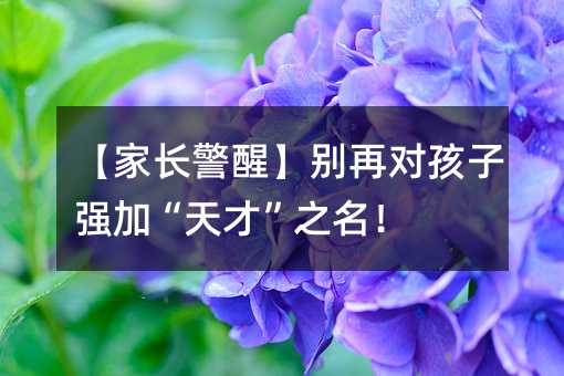 【家長警醒】別再對孩子強加“天才”之名!