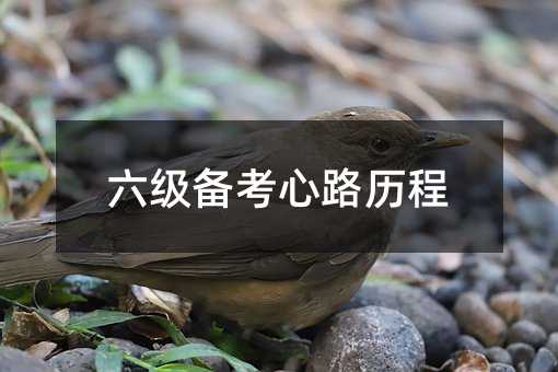 六級備考心路歷程