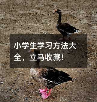 СWWȫRղأ