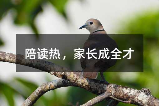 陪讀熱,家長成全才