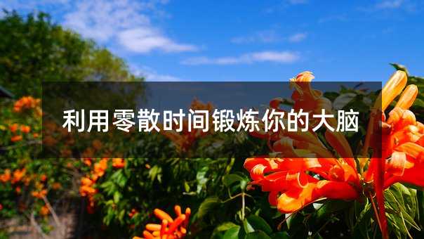 利用零散時間鍛煉你的大腦