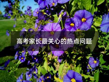 高考家長最關心的熱點問題